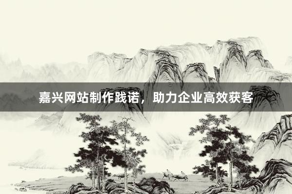 嘉兴网站制作践诺，助力企业高效获客
