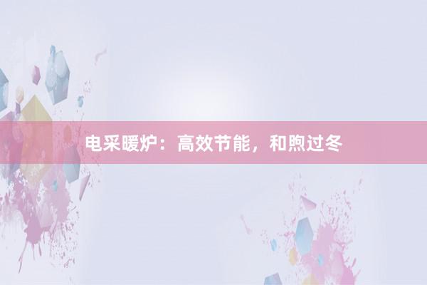 电采暖炉：高效节能，和煦过冬